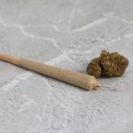 HHC Joint Apple Jax 1.3gr HHC Joint Lemon