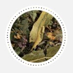 India Bronchial herbal mixture, 50g